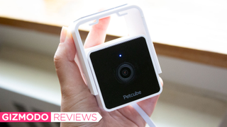 This Budget Pet Camera Is Perfect for Neurotic Pet Owners